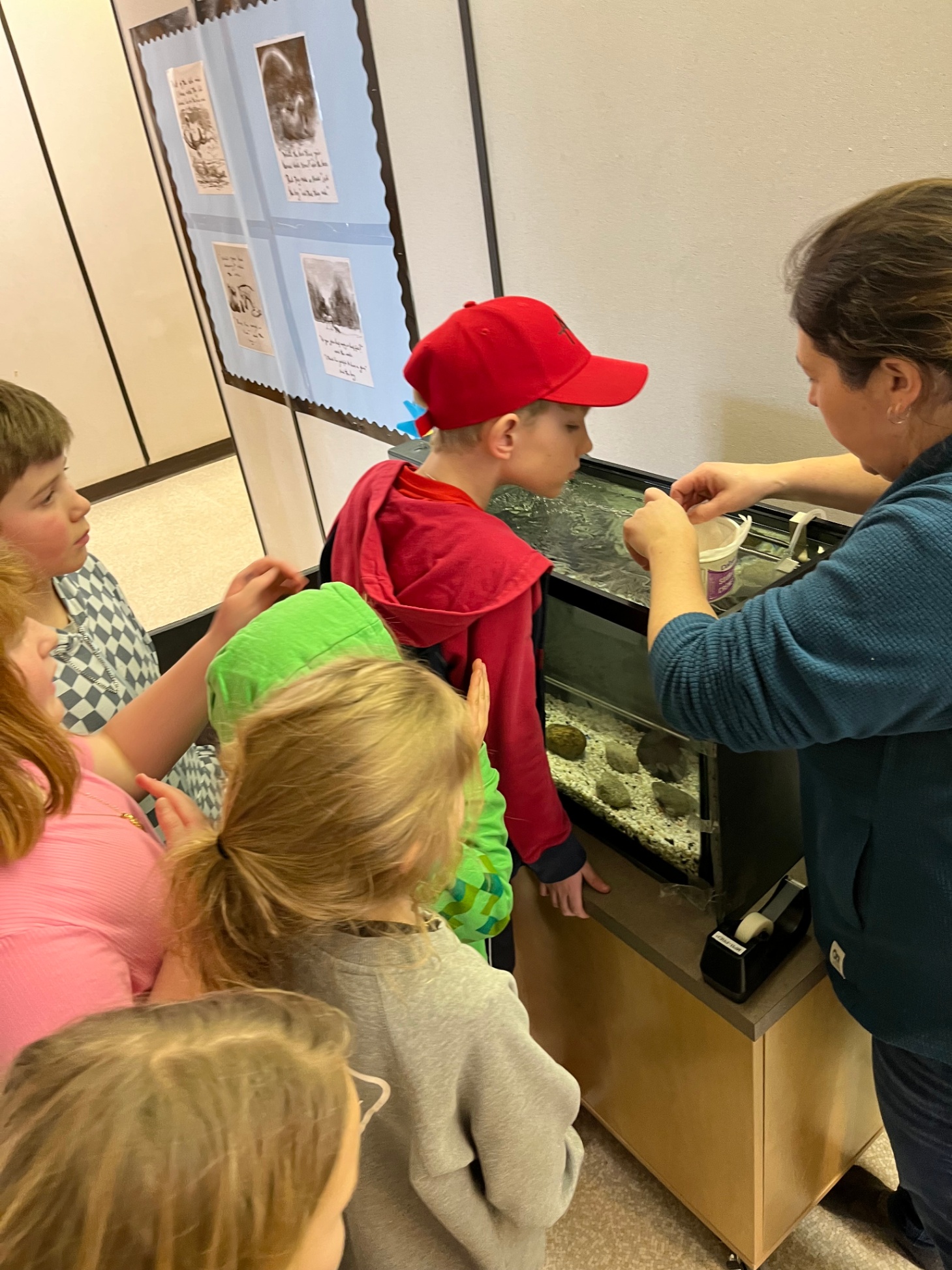 Preparing Salmon Eggs