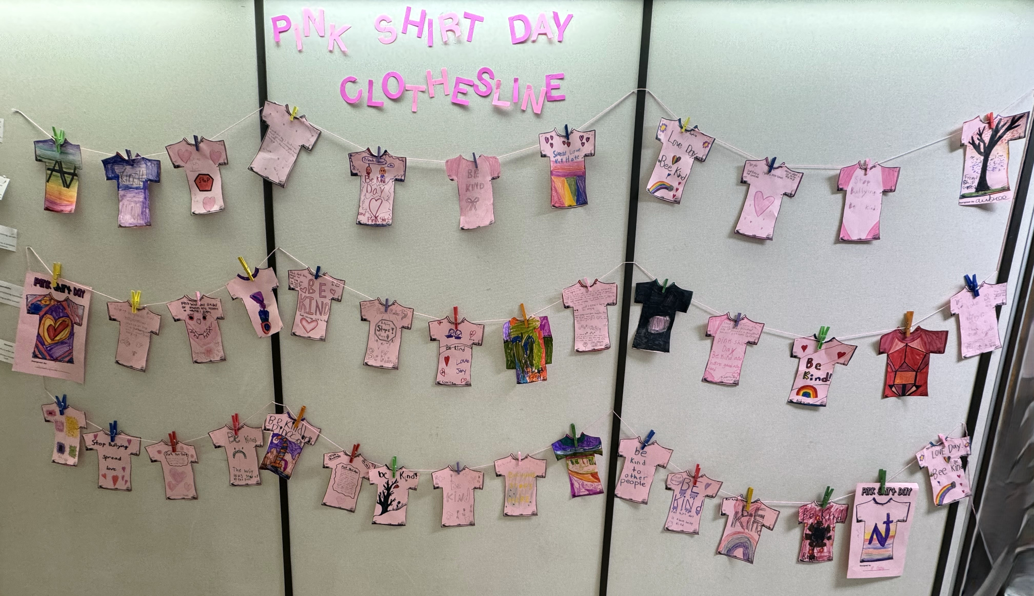 Pink Shirt Clothesline WS